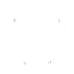 WN